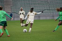 2026-03-28_18-19-27-D5C01166.JPG